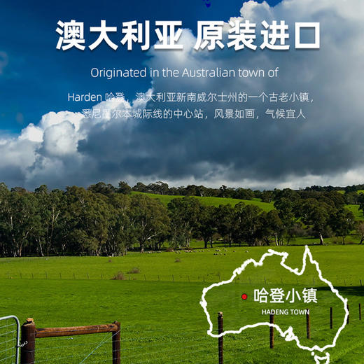 澳大利亚进口哈登蜂蜜500g 商品图1