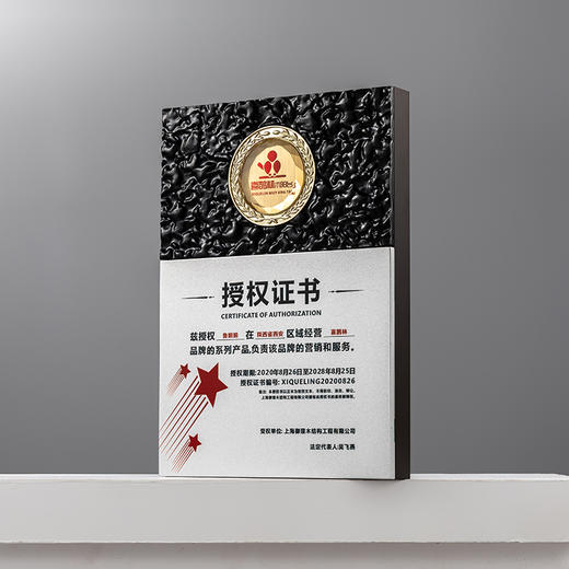 优秀经销商奖牌牌匾订制定做浮雕工艺金属奖杯定制签约书荣誉证书 商品图6