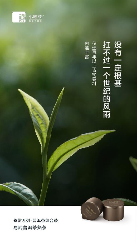 小罐茶鉴赏系列普洱茶组合茶-生普+熟普邹炳良邹老监制 商品图11