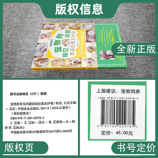 宠物狗常见问题家庭处置及护理 【官方正版，可开发票，下单时留开票信息和电子邮箱】 商品图2