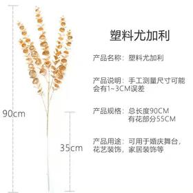 【琳琅】金色大枝尤加利 量大价更低，单价低至2.45