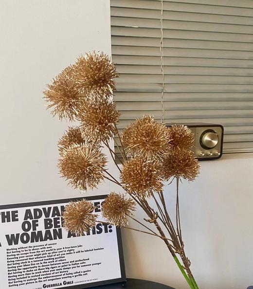 【琳琅】5头小葱花 量大价更低，单价低至3.25 商品图0