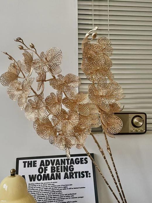 【琳琅】9头镂空蝴蝶兰 量大价更低，单价低至3.4 商品图0