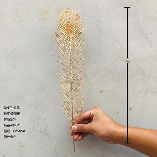 【琳琅】金色单枝凤尾 量大价更低，单价低至0.68 商品图1