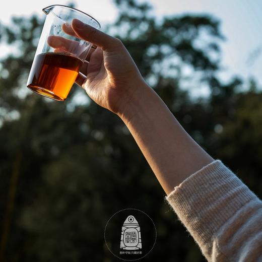 名丛十二调 正岩山场 纯料不拼 2022年武夷岩茶 藏茶密室出品 商品图4