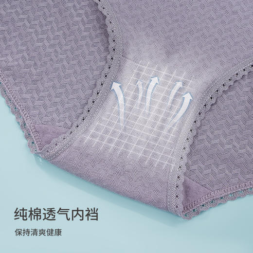 雅黛俪内裤女中腰纯棉裆纯色百搭网眼提花高弹柔软舒适透气4条装 商品图4