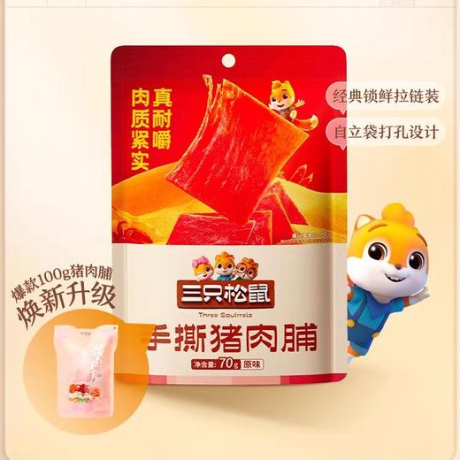 (百万补贴) 三只松鼠手撕猪肉脯70g 商品图4
