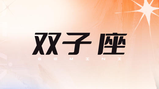 双子座2024指南 商品图0