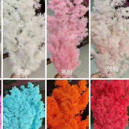 配花-永生蓬莱松 商品图2