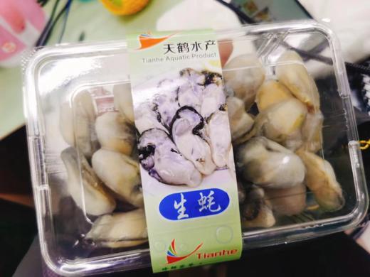 生蚝肉一盒 商品图0