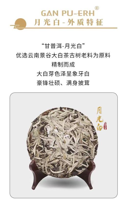 云南白茶 手撕茶饼 月光白紧压茶饼 100g 商品图4
