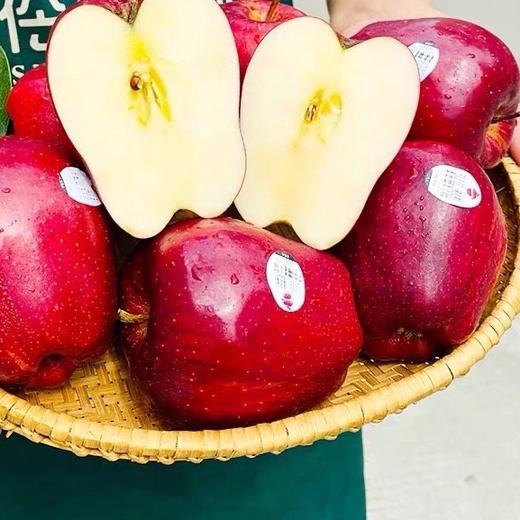 自带高光的美味【美国蛇果】来啦‼️ 商品图7