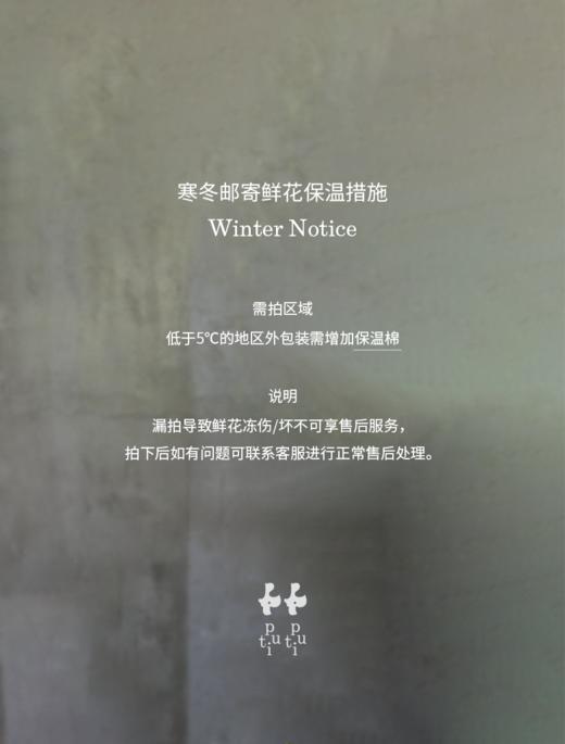 鹤望兰  Bird of Paradise 商品图2