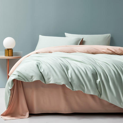  「72小时发货」【会呼吸更温暖】钱皇 100%80支全棉 纯色双拼四件套 内衣般面料质感 优质好棉 一针一线活性印染 商品图1