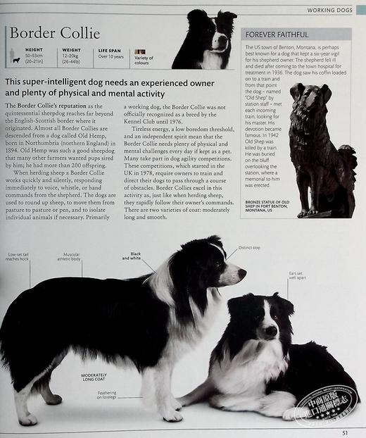 预售 【中商原版】DK狗狗百科 新版 收录400种犬种百科 DK The Dog Encyclopedia 英文原版 宠物博主指南 犬类百科大全  科普 商品图7