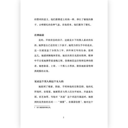 爱与烦恼：艾丽斯·沃克短篇小说集 商品图4