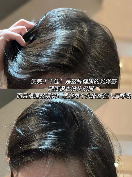 【清仓好价】韩国amos爱茉诗ayunche雅润彩洗发水350g/护发喷雾100ml 商品图5