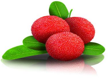 【千福现代生态农业观光园】展示券 商品图5