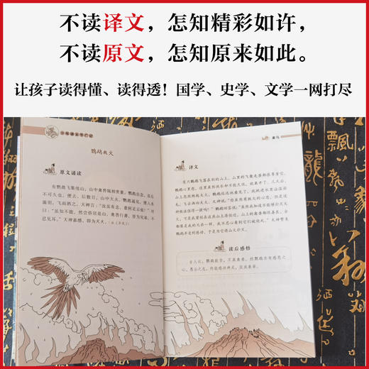 《少年读太平广记（精美插图版）》全6册 商品图4