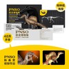 PNSO棘龙埃曼附棘龙头骨恐龙博物馆1:35科学艺术模型 商品缩略图1