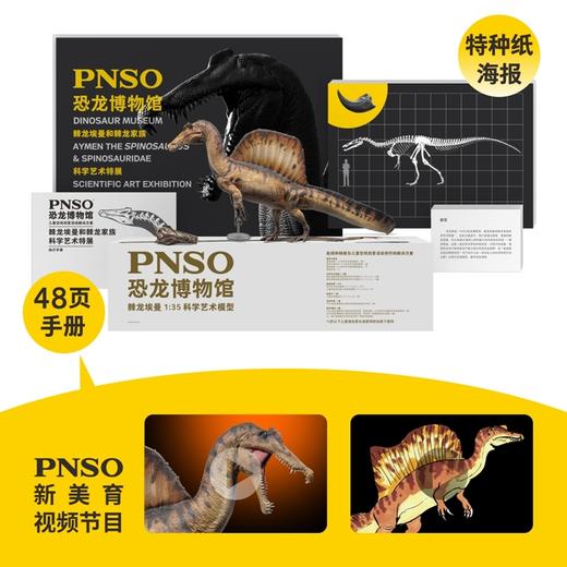 PNSO棘龙埃曼附棘龙头骨恐龙博物馆1:35科学艺术模型 商品图1