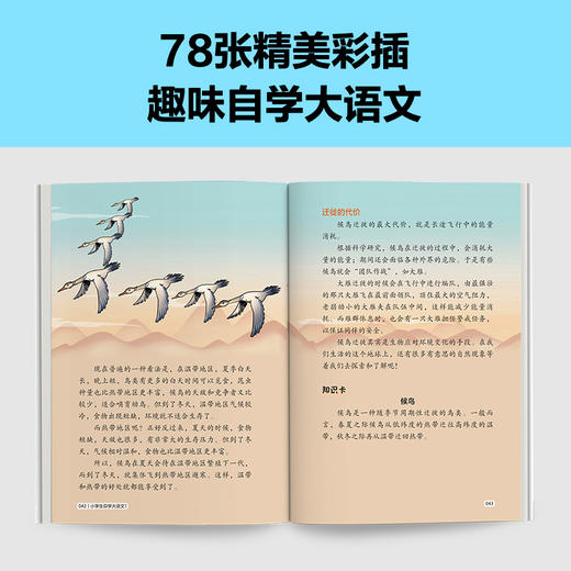 小学生自学大语文 一年级 商品图3