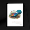 科学元典(学生版)(1-16) 商品缩略图2