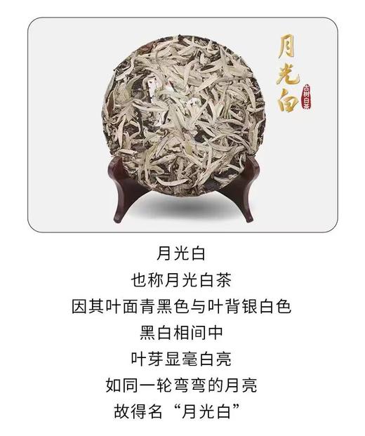 云南白茶 手撕茶饼 月光白紧压茶饼 100g 商品图5