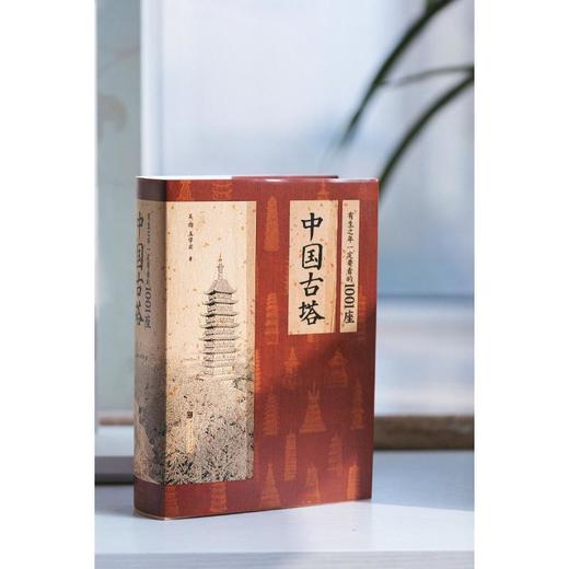 有生之年一定要看的1001座中国古塔 商品图2