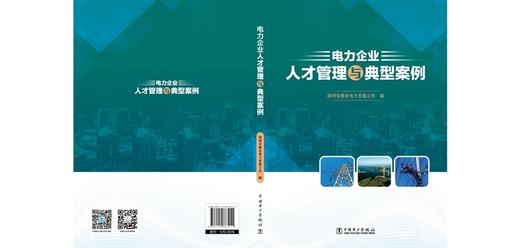 电力企业人才管理与典型案例 商品图1