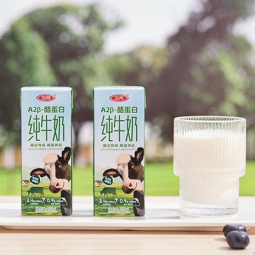 【自提-常温】三元A2β-酪蛋白纯牛奶200ml*10*3提（绿盒） 商品图2
