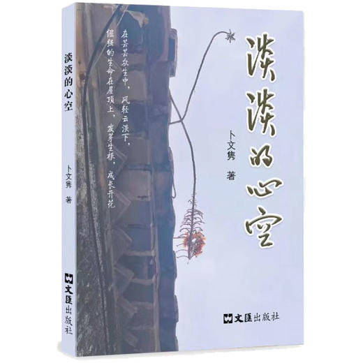 淡淡的心空(卜文隽) 商品图0