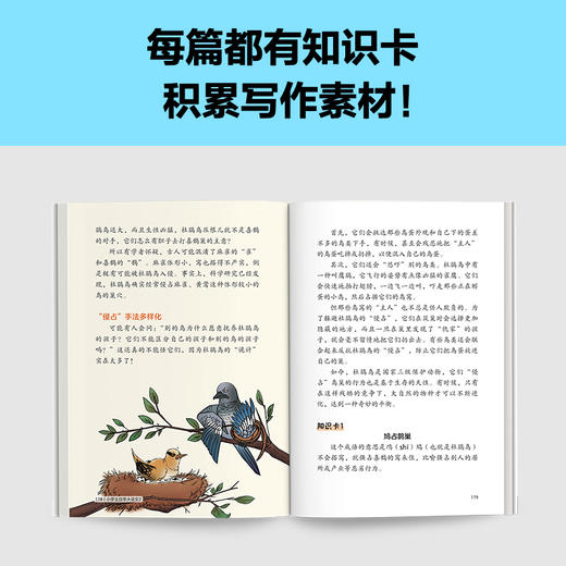 小学生自学大语文 二年级 商品图4
