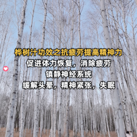 桦树汁功效之抗疲劳提高精神力