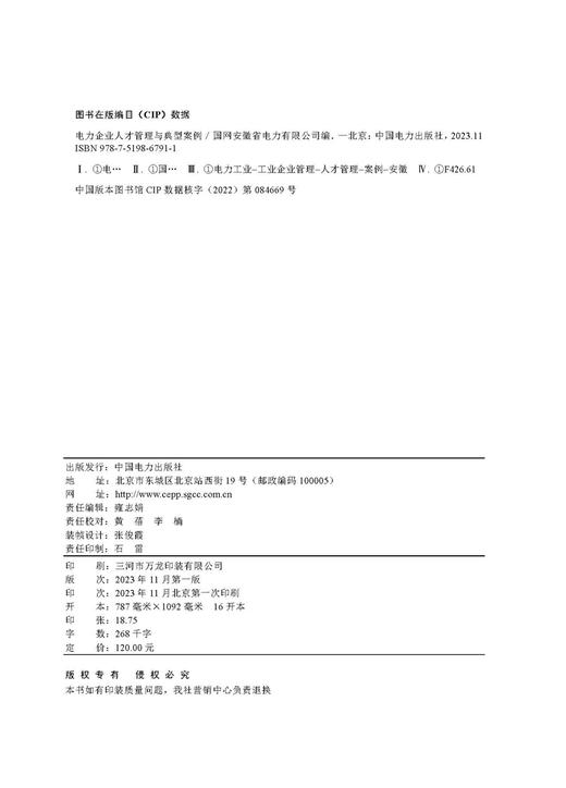 电力企业人才管理与典型案例 商品图2