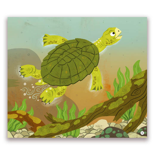 奇妙动物的屁屁之谜 商品图3