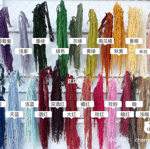 配花-永生柔丽丝（吊米） 商品图2