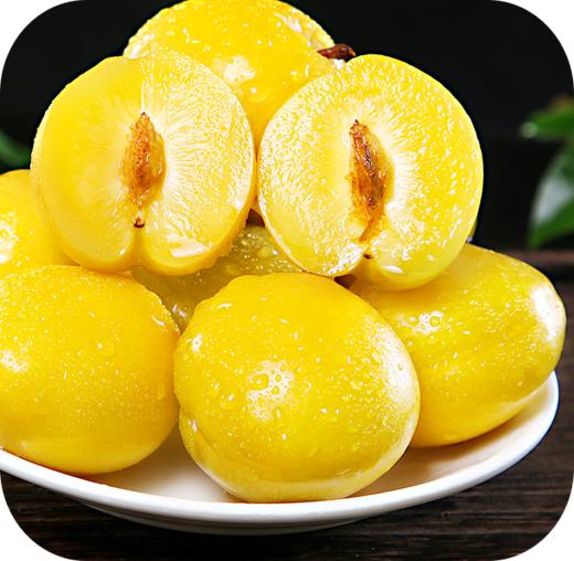 【千福现代生态农业观光园】展示券 商品图2