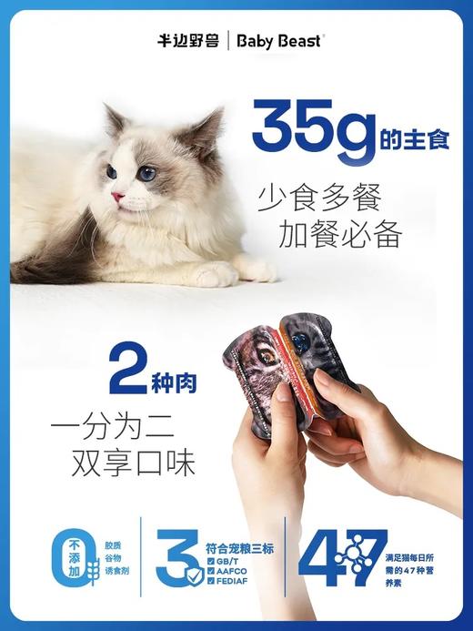 半边野兽主食餐盒猫脸杯 商品图4