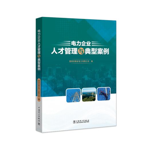 电力企业人才管理与典型案例 商品图0