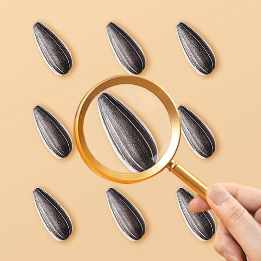 MM 山姆 洽洽 葵珍原味大瓜子 750g（50g*15） 商品图2