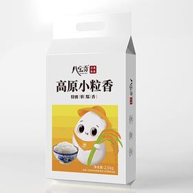 八宝贡—高原小粒香