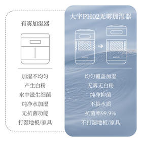 大宇（DAEWOO）无雾加湿器纯净型空气净化加湿器家用低噪客厅卧室孕妇婴儿大升数大加湿量 PH02