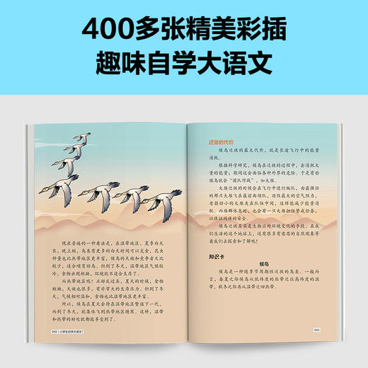 小学生自学大语文（6册套装） 商品图3