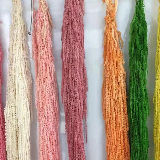 配花-永生柔丽丝（吊米） 商品图1