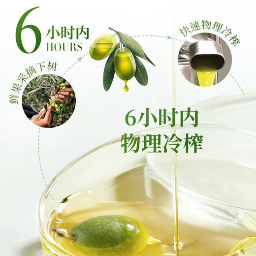 6小时鲜榨 | 四川凉山橄榄庄园特级初榨橄榄油 商品图1