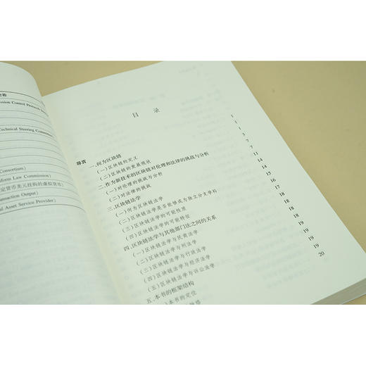 区块链法学   李想 杨锦帆主编 林熹 杨志 杨建军 陈玺顾问   法律出版社 商品图4