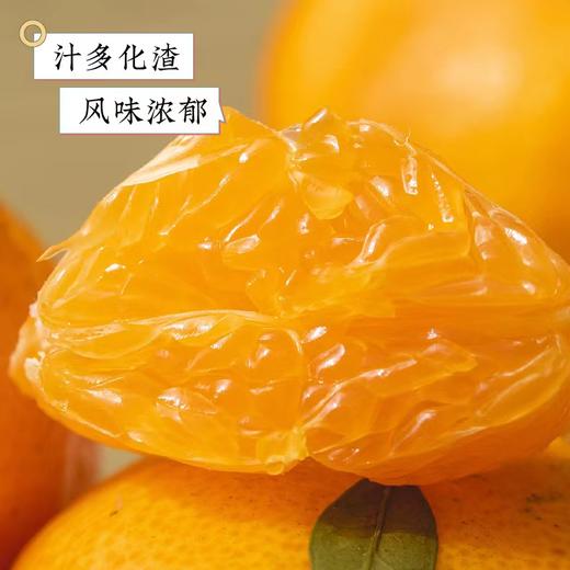 浙江台州·涌泉蜜桔 商品图0