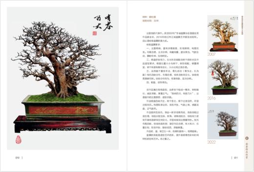 韩琦山水盆景艺术2267 商品图2