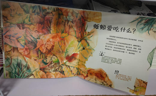 家门外的自然课—看！蚯蚓 商品图2